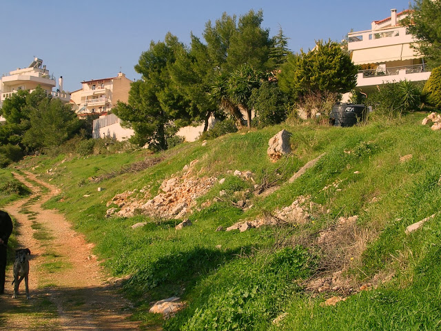 Η γένεση ενός δημοτικού πάρκου... ερήμην του Δήμου 5 Η γένεση ενός δημοτικού πάρκου... ερήμην του Δήμου 4