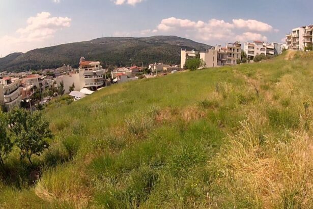 Χαϊδάρι Σήμερα Η γένεση ενός μεγάλου δημοτικού πάρκου... ερήμην του Δήμου 8
