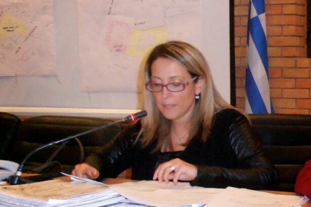 Ε. Τοκατλίδη (ΙΦΕΤ): Ψηφιακά εργαλεία για προμήθεια φαρμάκων στην καλύτερη δυνατή τιμή 15