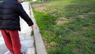 Χαϊδάρι Σήμερα Παλατάκι - το αφοδευτήριο των σκύλων 2