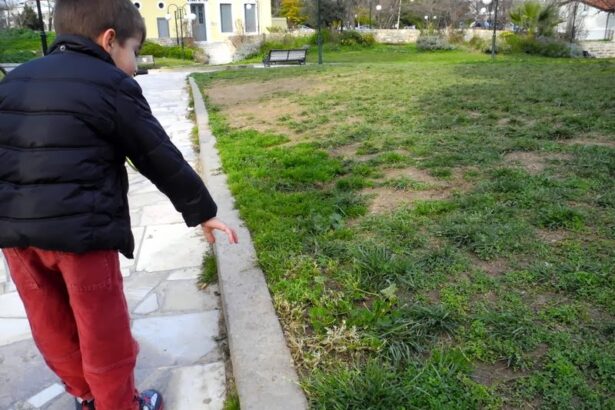 Χαϊδάρι Σήμερα Παλατάκι - το αφοδευτήριο των σκύλων 2