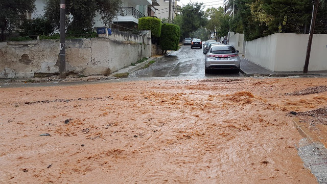Δάσος, η κατεβασιά του χειμάρρου... 1