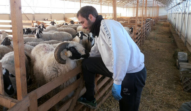 Από το Χαϊδάρι στα Καλάβρυτα, για να γίνουν κτηνοτρόφοι - Video 3