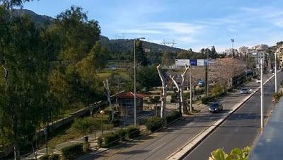 Έντονα παράπονα για κλαδέματα δέντρων 2 Έντονα παράπονα για κλαδέματα δέντρων 1