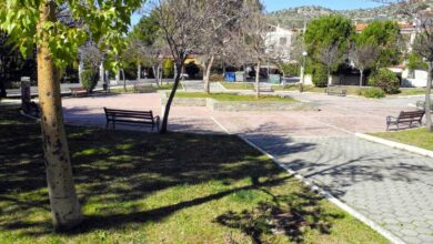 Χαϊδάρι Σήμερα Οι κάτοικοι της Αφαίας μάς διηγούνται περιστατικά απανωτών κλοπών 4