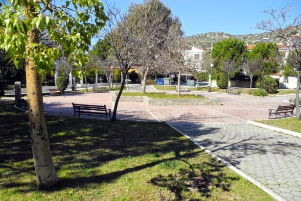 Χαϊδάρι Σήμερα Οι κάτοικοι της Αφαίας μάς διηγούνται περιστατικά απανωτών κλοπών 4