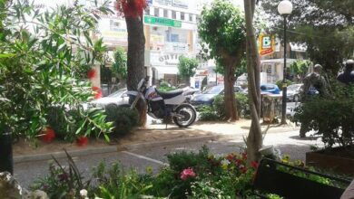 Χαϊδάρι Σήμερα "Αγριολούλουδο" στον πεζόδρομο! 3