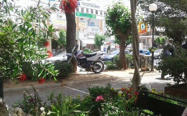 Χαϊδάρι Σήμερα "Αγριολούλουδο" στον πεζόδρομο! 3