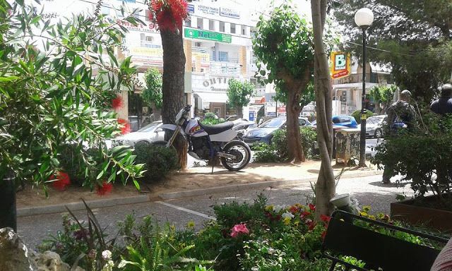 "Αγριολούλουδο" στον πεζόδρομο! 2