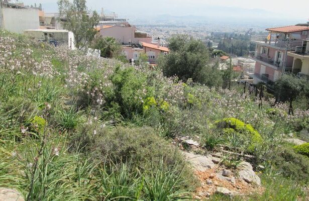 Χαϊδάρι Σήμερα Πολιτική αφωνία στο Χαϊδάρι για την υπόθεση του οικοπέδου στον Προφήτη Ηλία 1