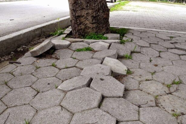 Δέντρα στα πεζοδρόμια