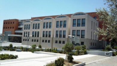 Διαχειριστικός Έλεγχος