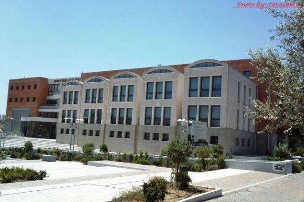 Διαχειριστικός Έλεγχος