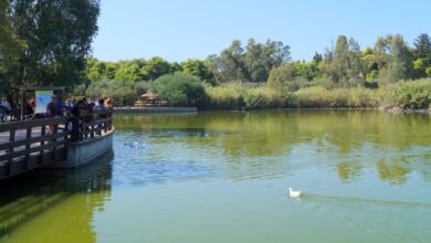 Χαϊδάρι Σήμερα Νίκος Μπελαβίλας: Το Πάρκο Τρίτση δεν είναι κανένα δημοτικό κηπάκι για να παίζουμε 4