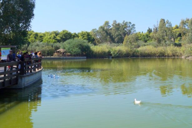 Χαϊδάρι Σήμερα Νίκος Μπελαβίλας: Το Πάρκο Τρίτση δεν είναι κανένα δημοτικό κηπάκι για να παίζουμε 4