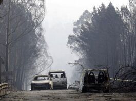 Χαϊδάρι Σήμερα Διεθνής μελέτη: Η Ελλάδα απειλείται με περισσότερες ακραίες δασικές πυρκαγιές 