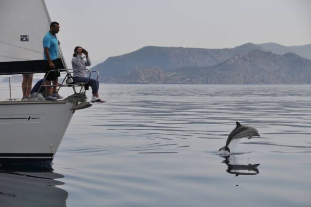 Χαϊδάρι Σήμερα Δελφίνια Κορινθιακού: 3 παγκόσμιες μοναδικότητες και μια απίθανη διασταύρωση 2 δελφίνια του Κορινθιακού
