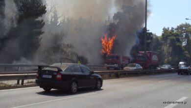 Συναγερμός: Πολύ υψηλός κίνδυνος πυρκαγιάς στην Αττική 25