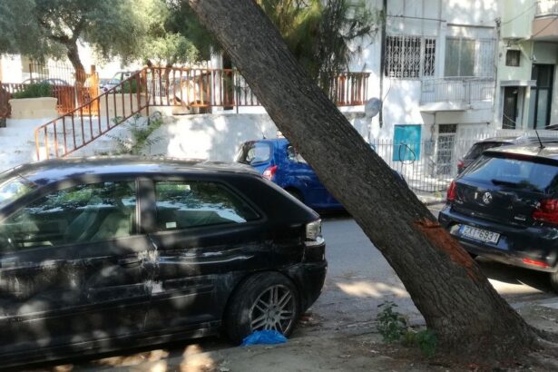 Χαϊδάρι Σήμερα Και ετοιμόρροπο και πριονισμένο!