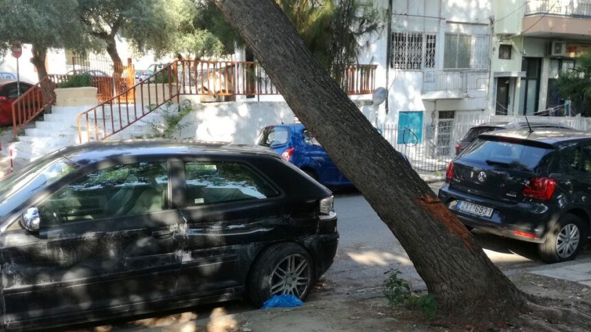 Και ετοιμόρροπο και πριονισμένο! 1 Χαϊδάρι Σήμερα Και ετοιμόρροπο και πριονισμένο!