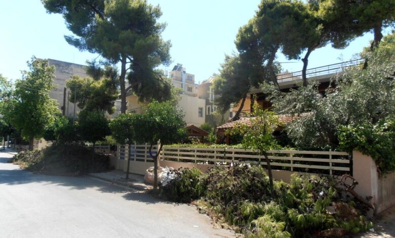 Χαϊδάρι Σήμερα Χαϊδάρι: Πτώση δύο γερασμένων πεύκων, με τραυματισμό και ζημιές 1