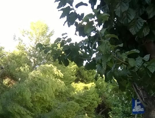 Χαϊδάρι Σήμερα Άγιο είχαμε πάλι στην Καραϊσκάκη 2