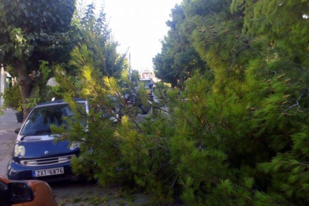 Χαϊδάρι Σήμερα Άγιο είχαμε πάλι στην Καραϊσκάκη 1