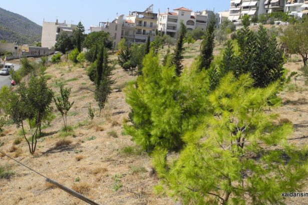 Χαϊδάρι Σήμερα Γεια στα χέρια σας, παιδιά μου! 5