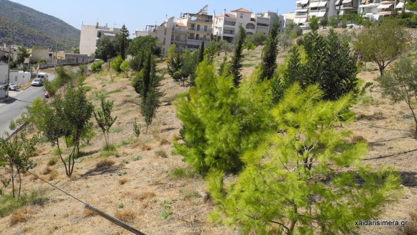 Χαϊδάρι Σήμερα Γεια στα χέρια σας, παιδιά μου! 5