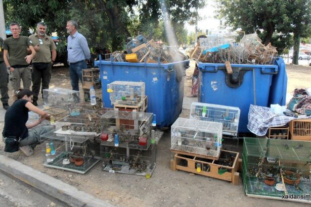 Χαϊδάρι Σήμερα Λαθρέμποροι άγριας ζωής στο Αστυνομικό Τμήμα Χαϊδαρίου 1