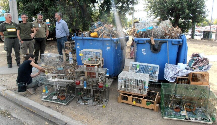 Χαϊδάρι Σήμερα Λαθρέμποροι άγριας ζωής στο Αστυνομικό Τμήμα Χαϊδαρίου 1