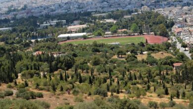 Χαϊδάρι Σήμερα Να μπει αυτό στο Δασικό Χάρτη ή να μη μπει; Ιδού η απορία...