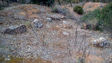 Χαϊδάρι Σήμερα Βγαίνει στο φως ένα χιλιόμετρο της αρχαίας Ιεράς Οδού στο Χαϊδάρι! 1