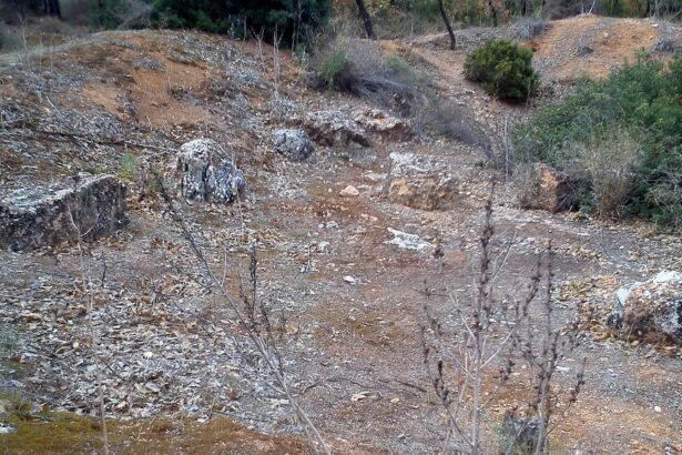 Χαϊδάρι Σήμερα Βγαίνει στο φως ένα χιλιόμετρο της αρχαίας Ιεράς Οδού στο Χαϊδάρι! 1