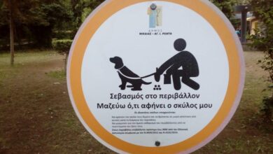 Χαϊδάρι Σήμερα Αγγελική - Γκανά Ρηγάκη: Με αφορμή την 4η Οκτωβρίου, Παγκόσμια Ημέρα των Ζώων 3