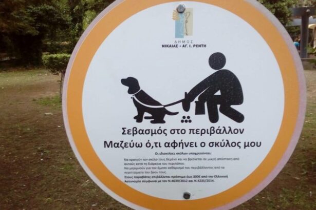 Χαϊδάρι Σήμερα Αγγελική - Γκανά Ρηγάκη: Με αφορμή την 4η Οκτωβρίου, Παγκόσμια Ημέρα των Ζώων 3