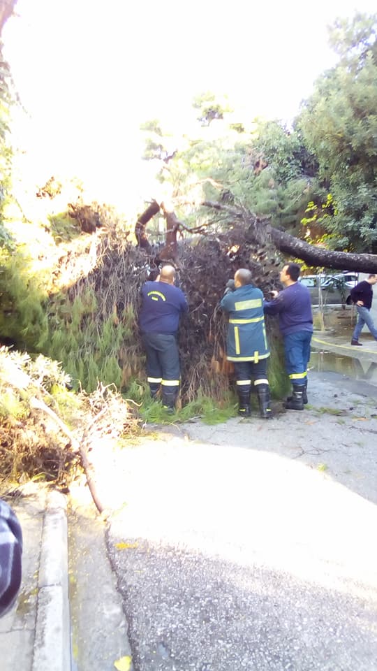 Αν έχεις τύχη... 5