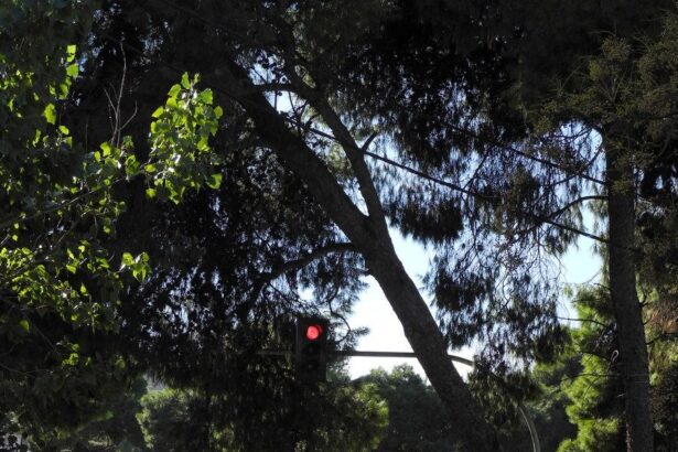 "Ο Δήμος έκανε σωστά τη δουλειά του" 21