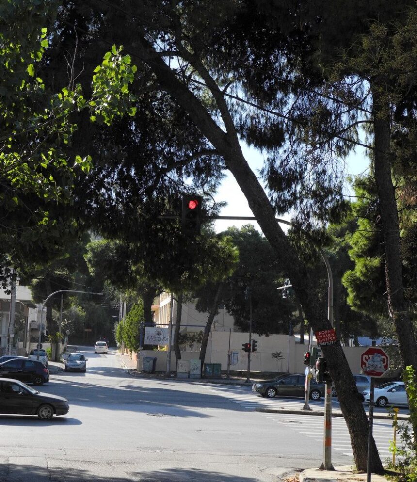 "Ο Δήμος έκανε σωστά τη δουλειά του" 1