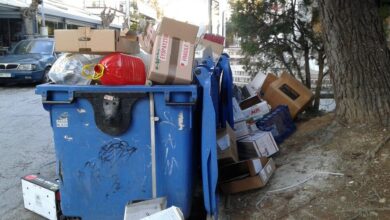 Χαϊδάρι Σήμερα Τίποτε δεν μου χαλά τη διάθεση με αυτόν τον όμορφο, χειμωνιάτικο ήλιο... 1