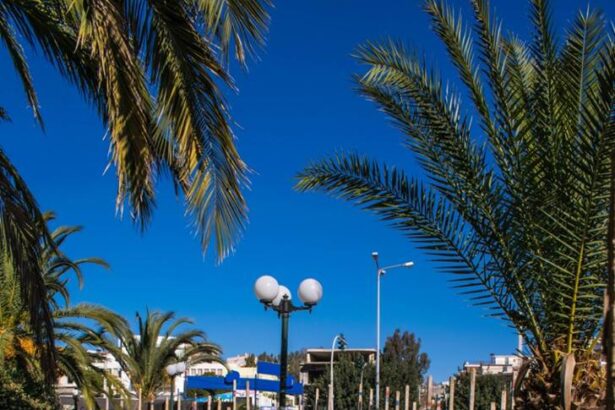 Χαϊδάρι Σήμερα Νέες πεζογέφυρες στη Λεωφόρο Αθηνών - Παρουσίαση, μακέτες, λειτουργικότητα 1