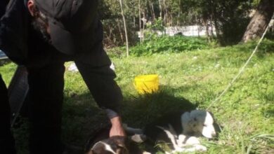 Χαϊδάρι Σήμερα Πήρε ο Χρήστος ο άστεγος το κοινωνικό μέρισμα;