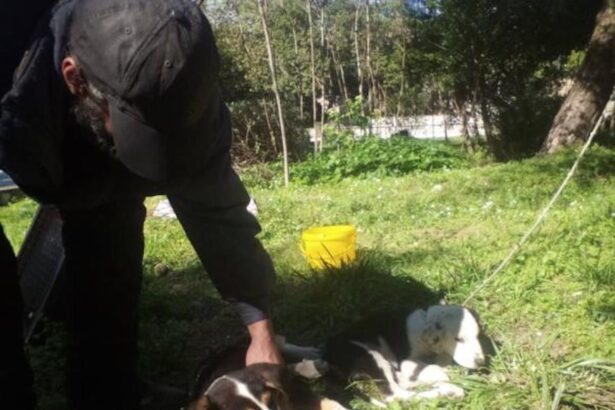 Χαϊδάρι Σήμερα Πήρε ο Χρήστος ο άστεγος το κοινωνικό μέρισμα;