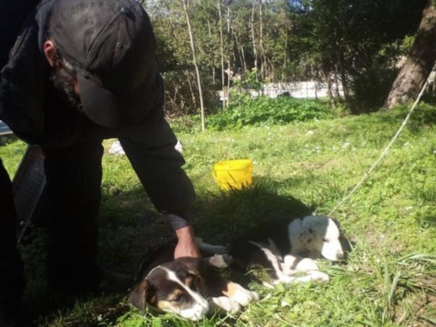 Χαϊδάρι Σήμερα Πήρε ο Χρήστος ο άστεγος το κοινωνικό μέρισμα;