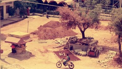 Χαϊδάρι Σήμερα 'Οταν φάγανε μπαμπέσικα τα πεύκα της πλατείας του Δάσους 4