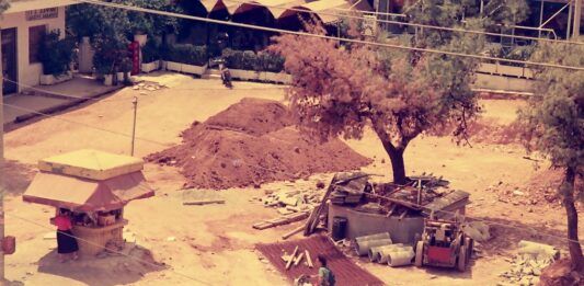 Χαϊδάρι Σήμερα 'Οταν φάγανε μπαμπέσικα τα πεύκα της πλατείας του Δάσους 4