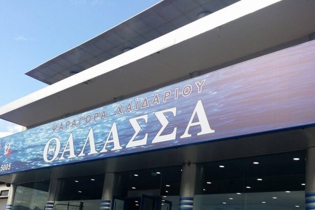 Χαϊδάρι Σήμερα Ψάρι ψητό & μαγειρευτό, έτοιμο στην πόρτα μας! 2