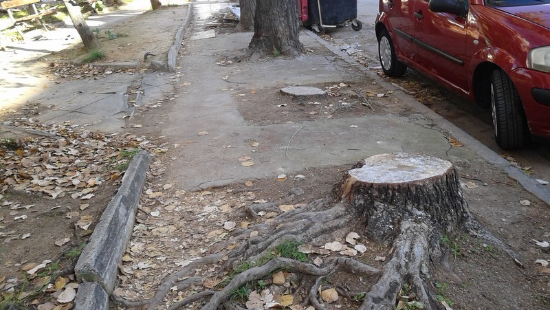 "Ο δρόμος με τις λεύκες"... προς Αγία Μαρίνα 5