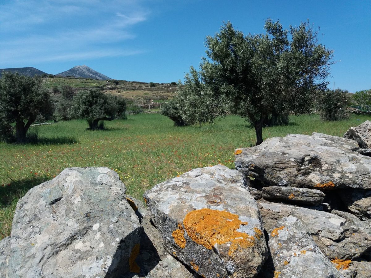 Να μην χάσουμε κανένα νησί στο Αιγαίο. Αλλά, μήπως χάνουμε… ένα κάθε χρόνο; 9