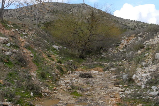 Σταματώντας τα νερά πριν κατεβούν αφρισμένα στο Χαϊδάρι! 37